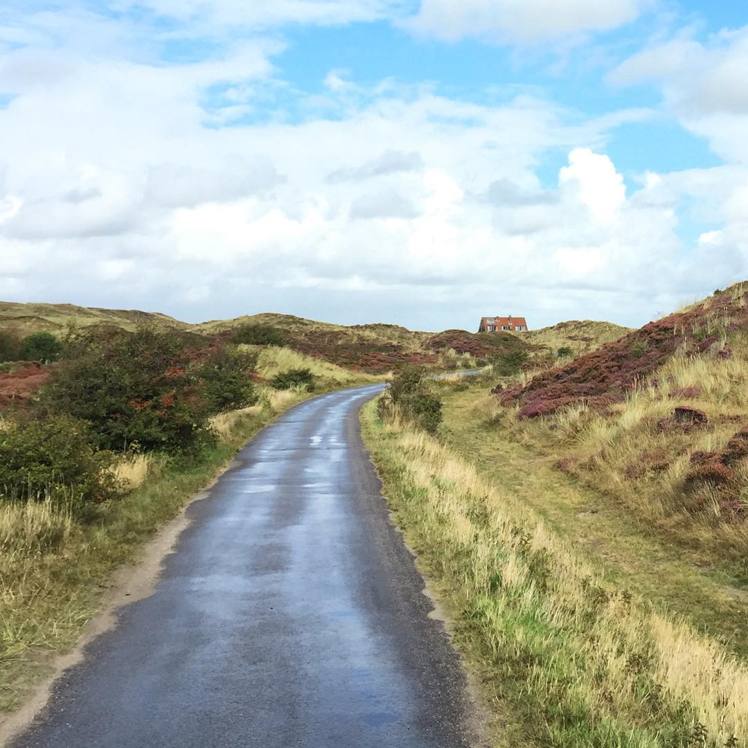 In the Dunes of Texel