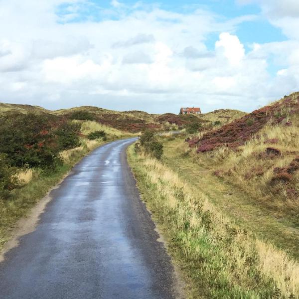 In the Dunes of Texel