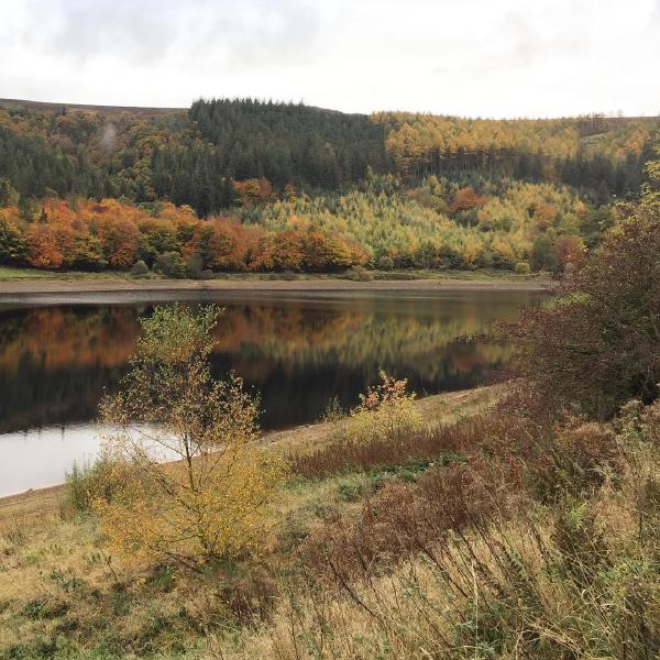 Autumn colours at Ladybower Reservoir