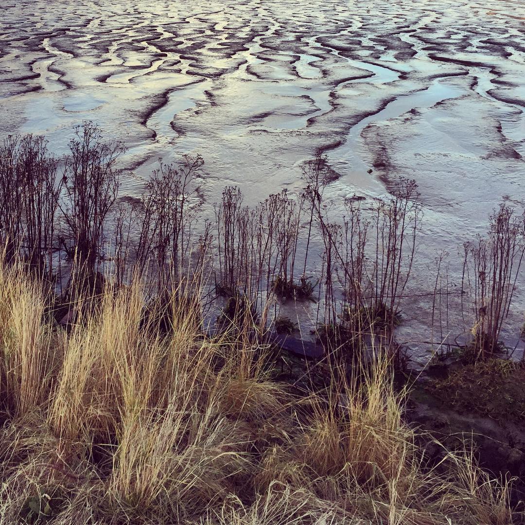 Mudflats on the Thames