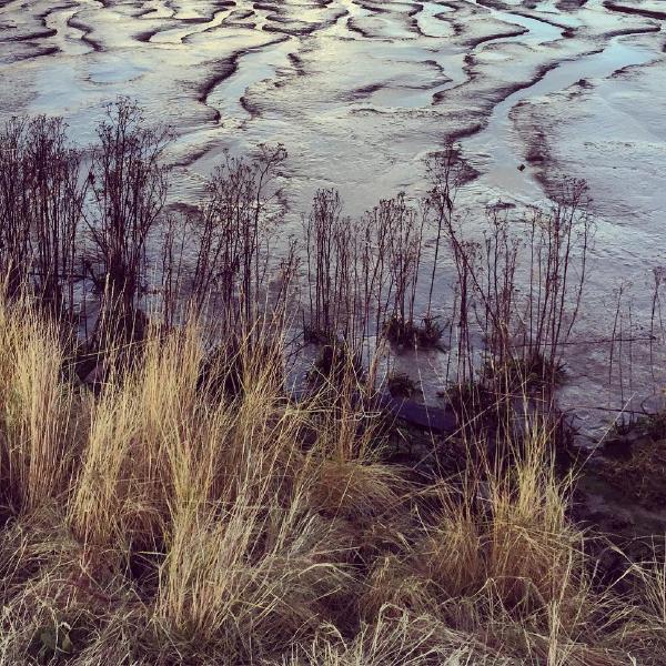 Mudflats on the Thames