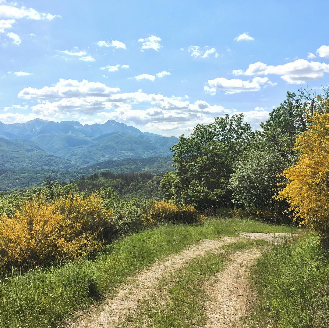 A walk with a view