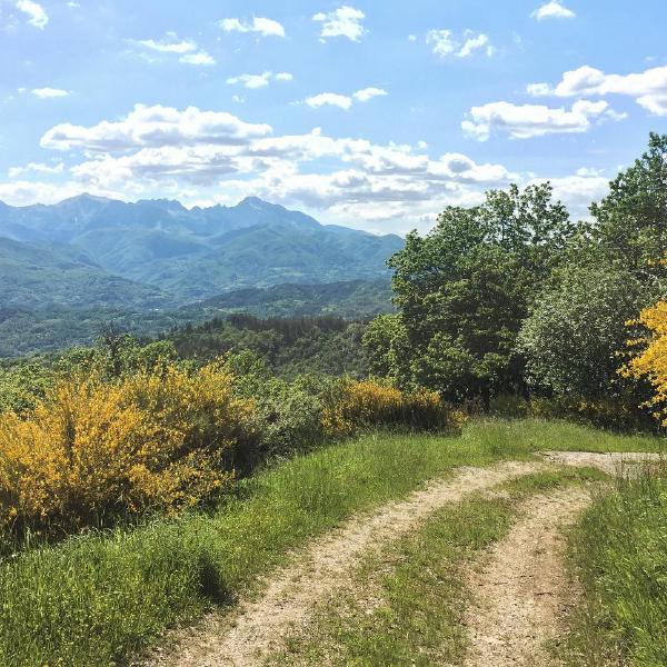 A walk with a view