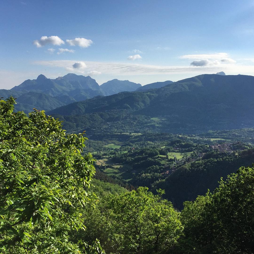 Looking into the valley