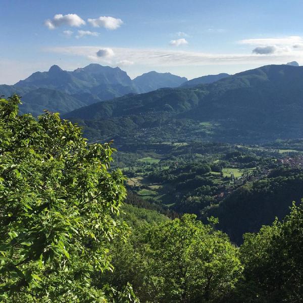 Looking into the valley