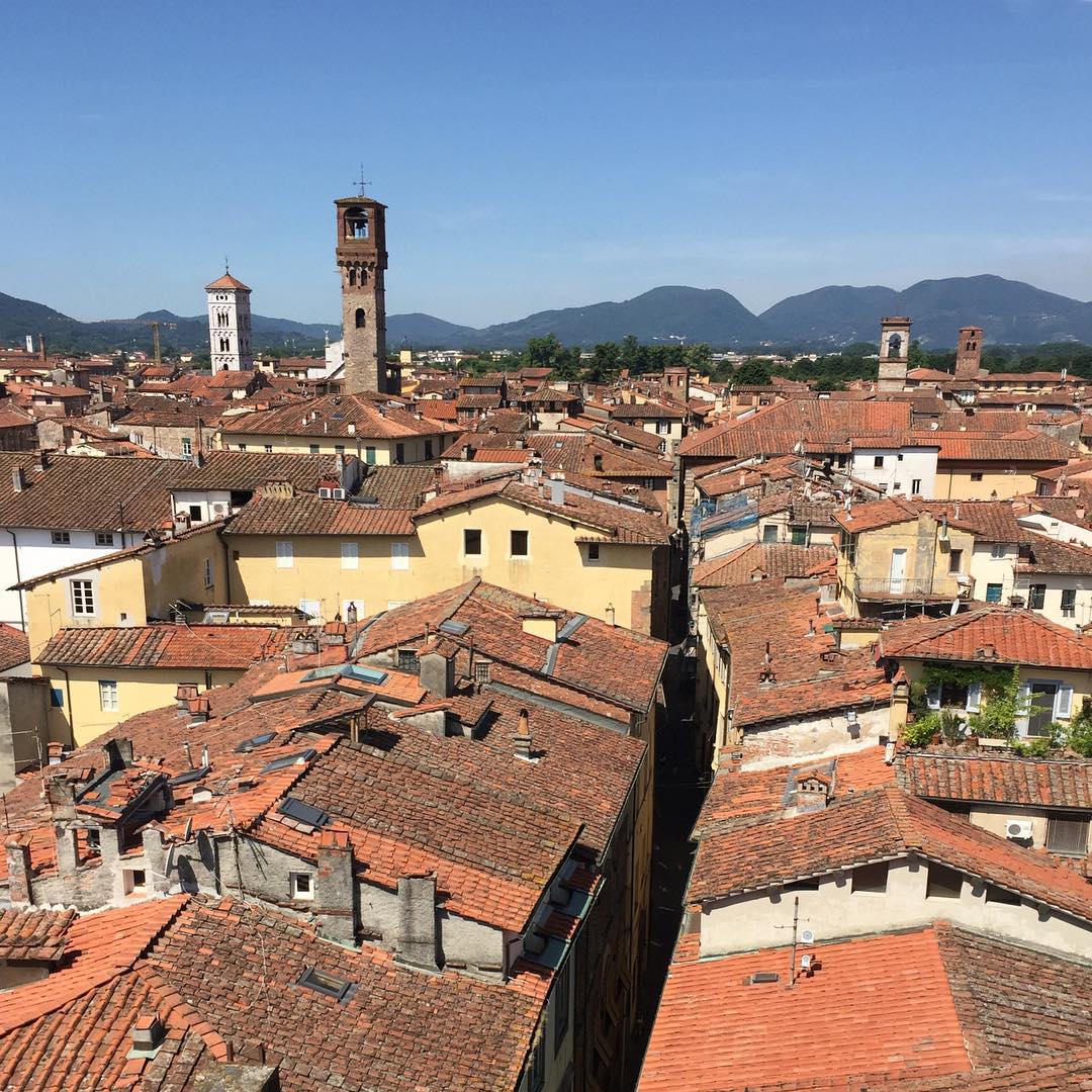 The roofs of Lucca from Torre Guinigi