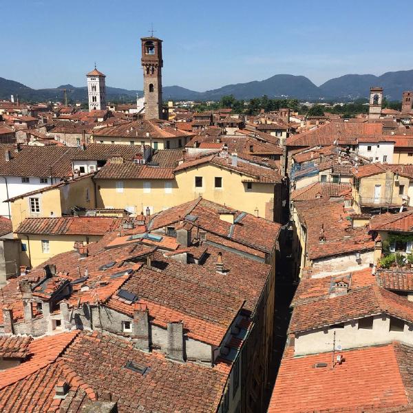 The roofs of Lucca from Torre Guinigi