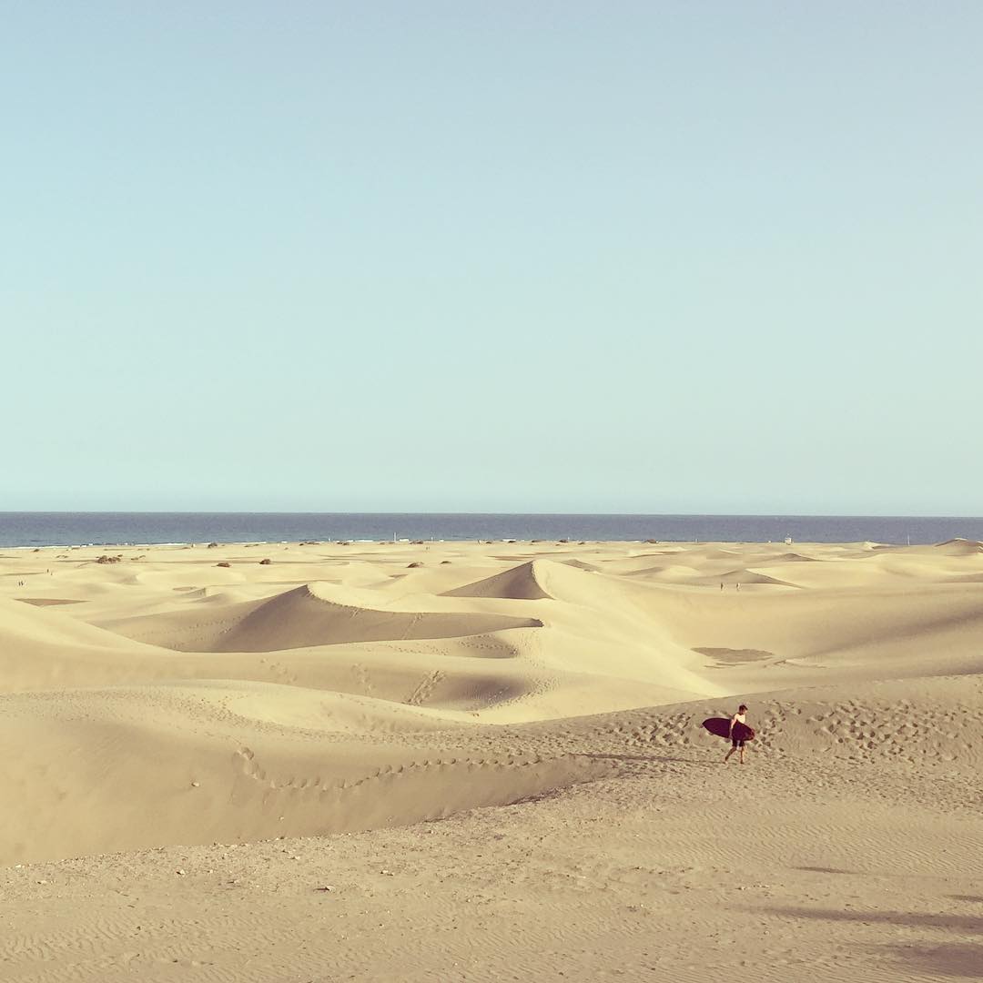 Dune surfer