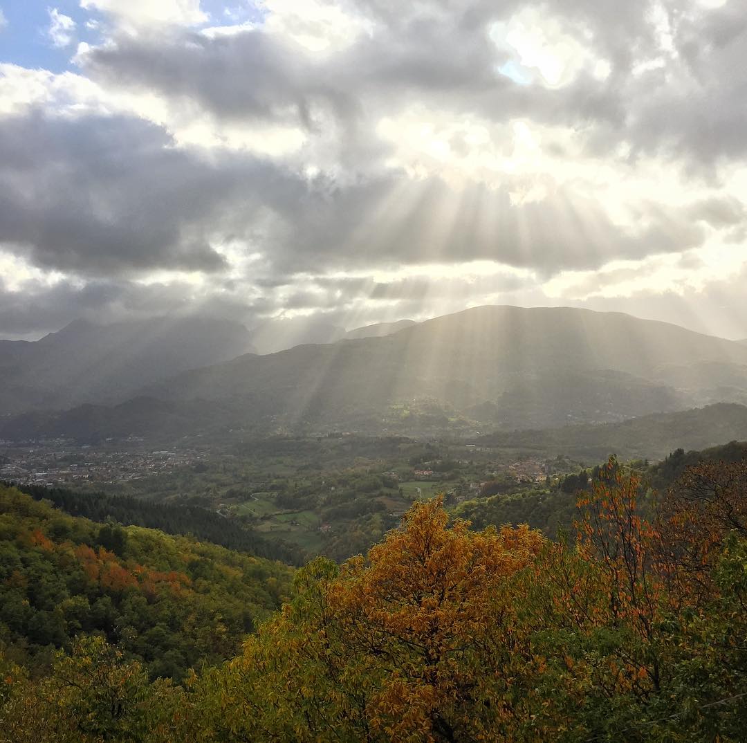 Rays of sun