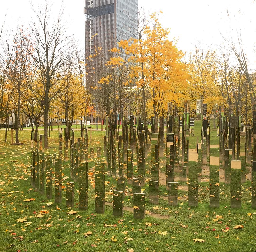 Reflections in the park