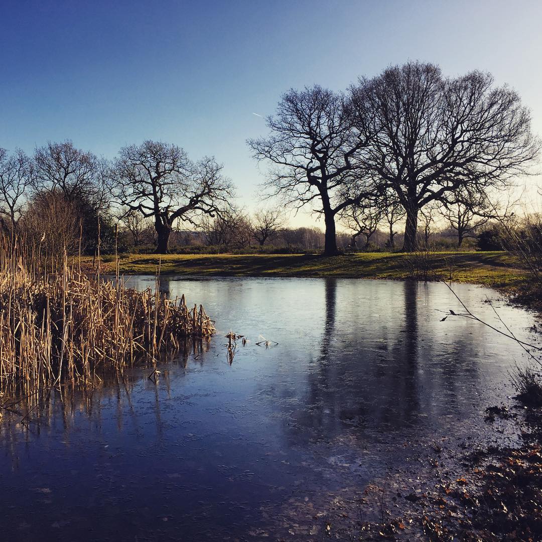 Hollow Ponds Leytonstone