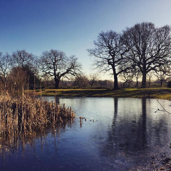 Hollow Ponds Leytonstone