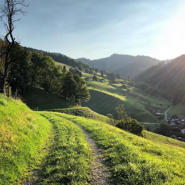 Running through the valley