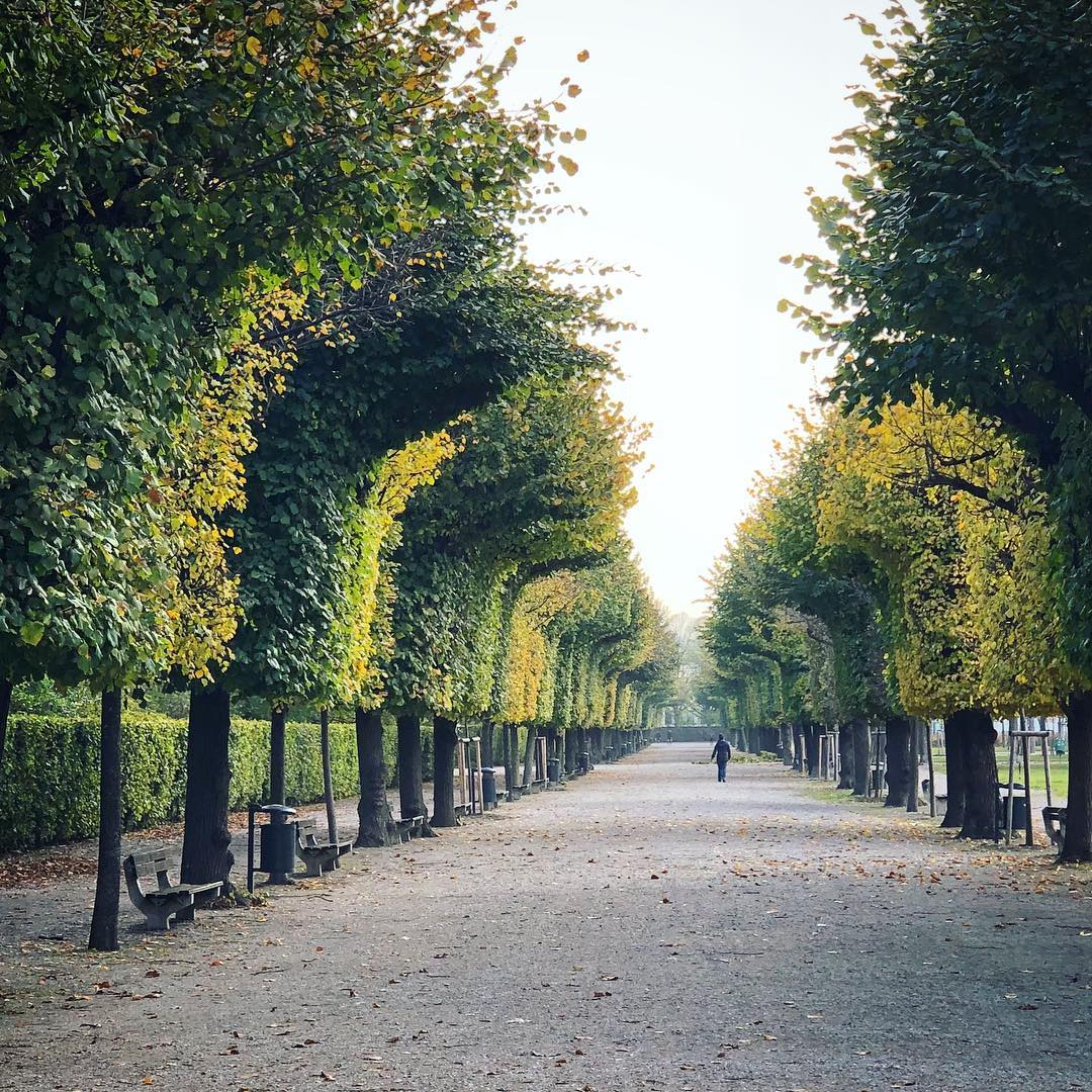 A stroll in the park