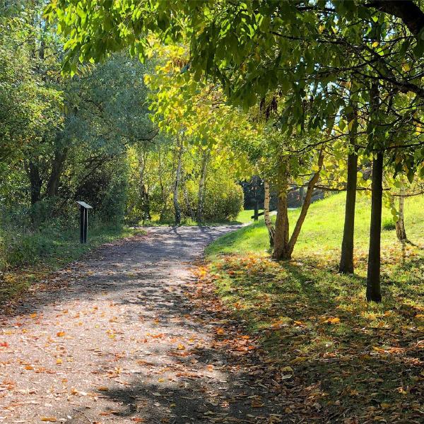 Bow Creek Ecology Park