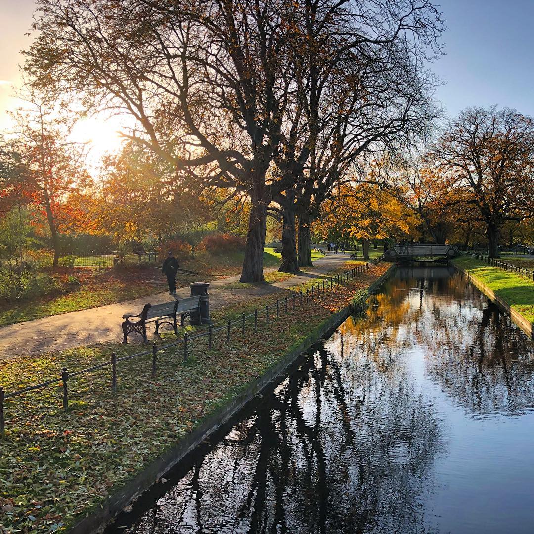 Autumn in Clissold Park