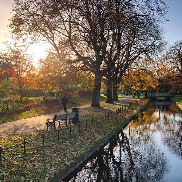 Autumn in Clissold Park