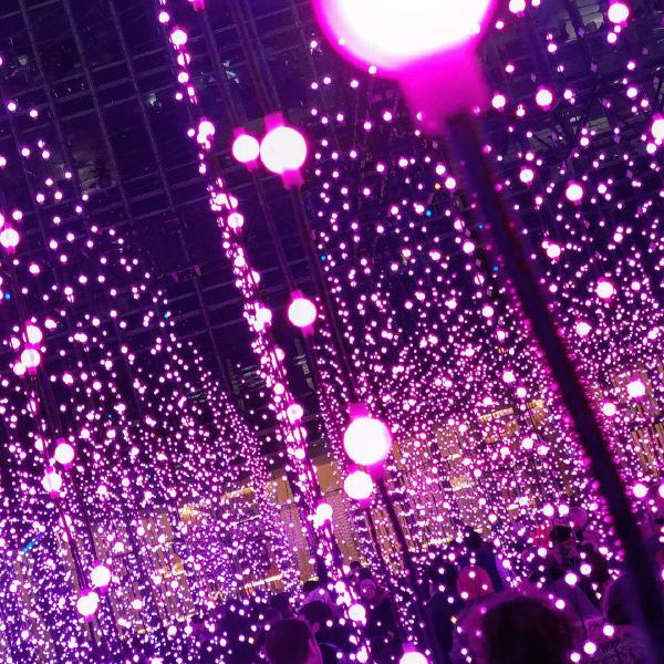 Submergence at the Winter Lights Festival