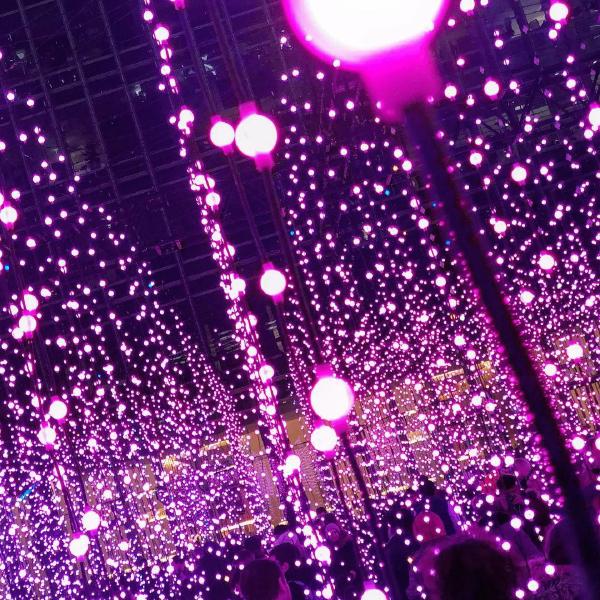 Submergence at the Winter Lights Festival