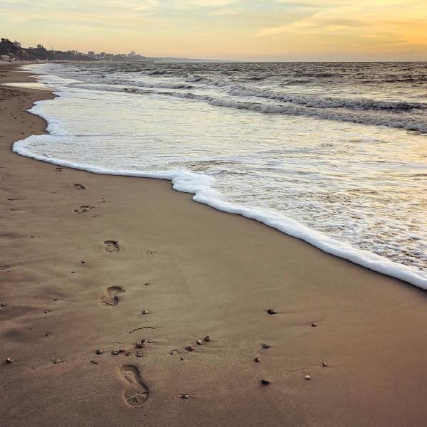 Beach run