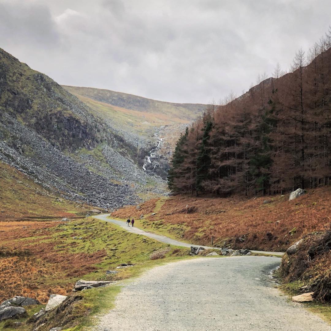 Walking in the Wicklow Mountains