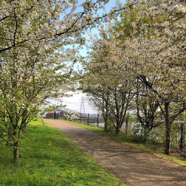 A run  in the park