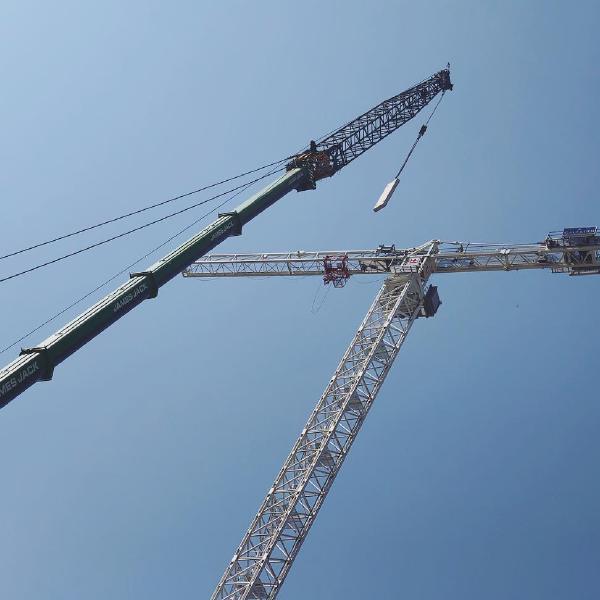 Crane-building crane