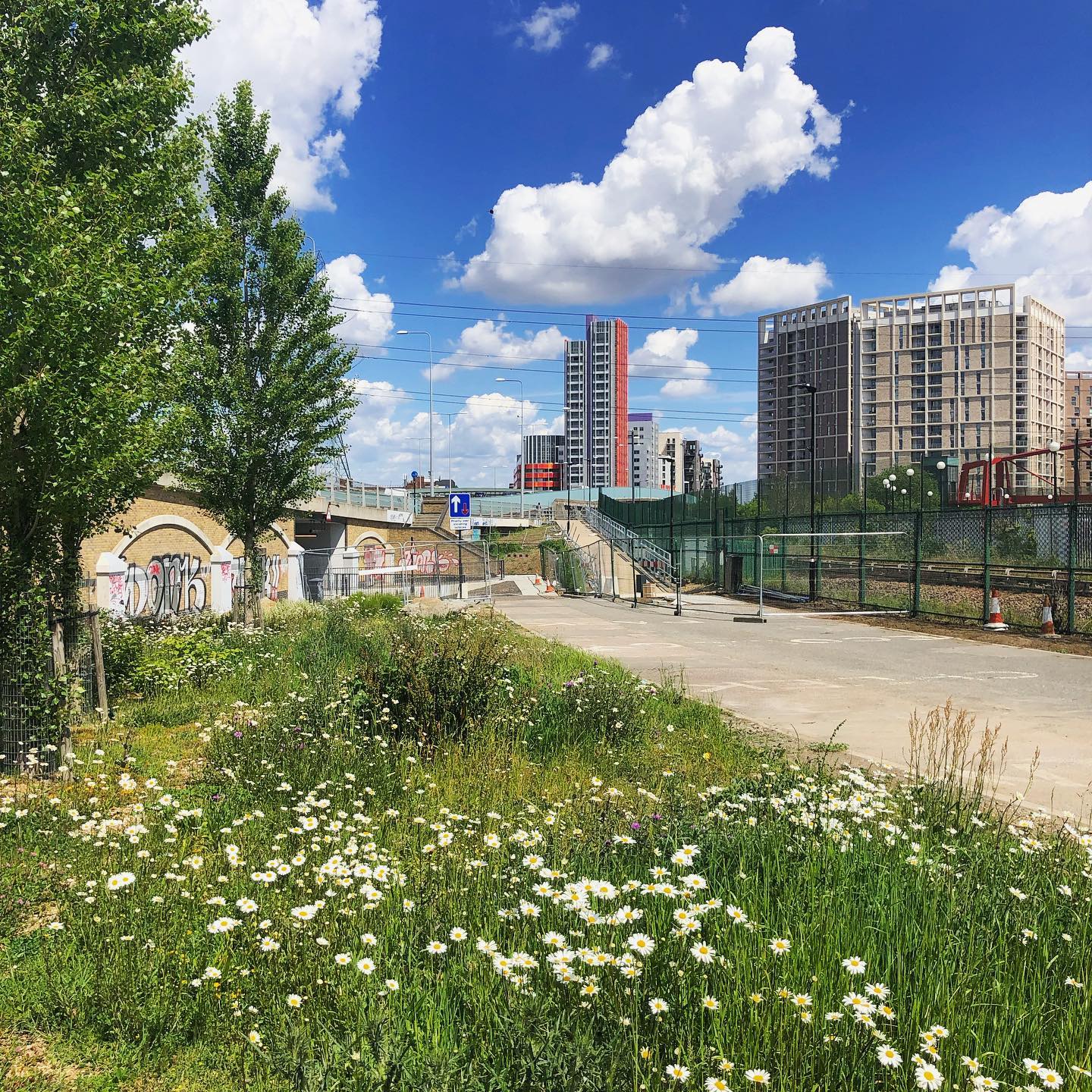 Wildflowers at Essex Wharf Canning Town