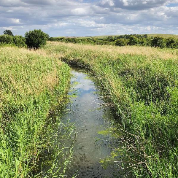 Rainham Marshes