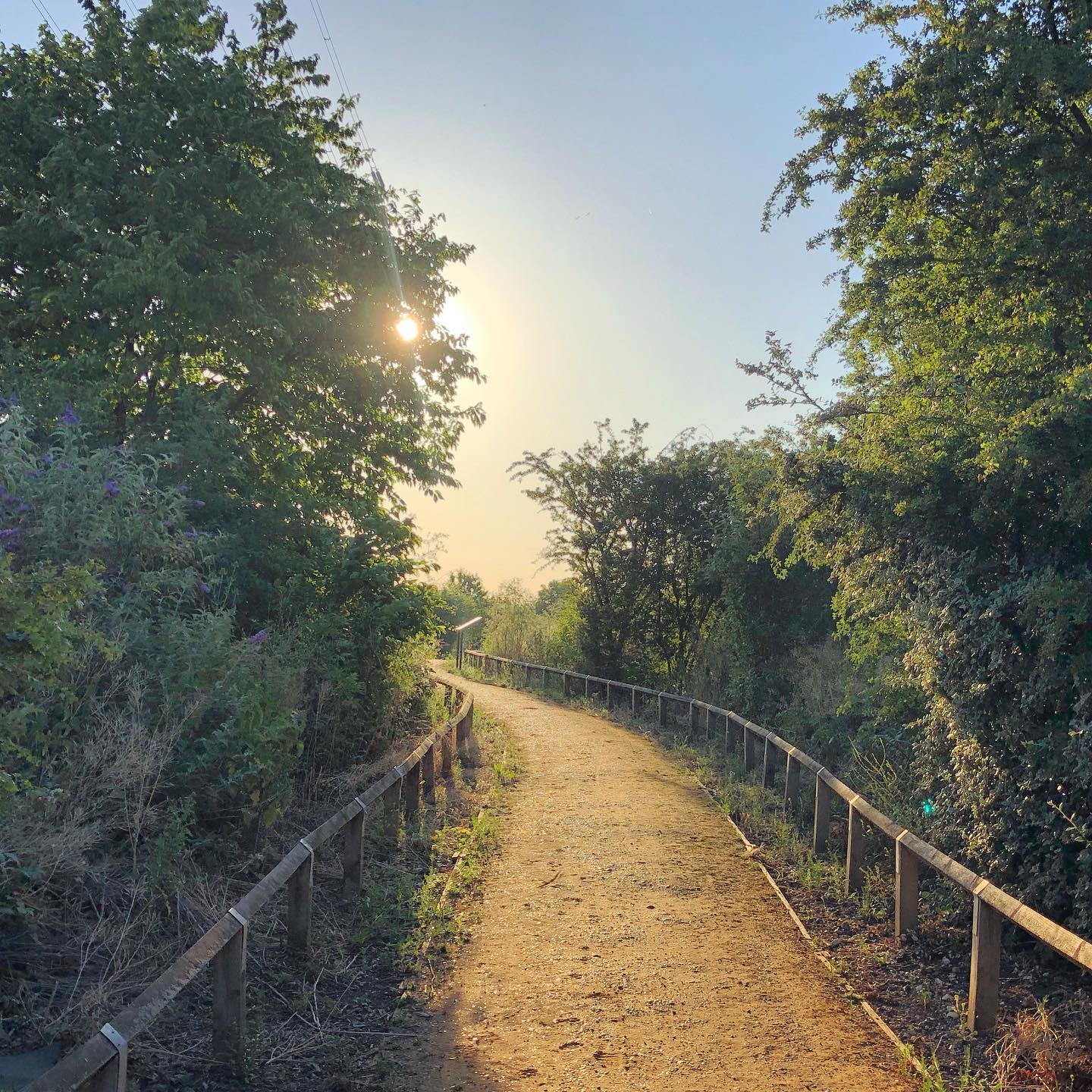 Evening sun at Beckton Creek