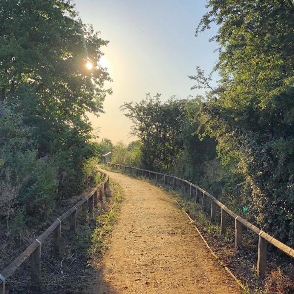 Evening sun at Beckton Creek