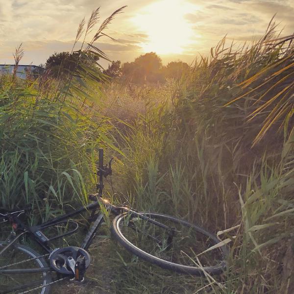 Evening ride