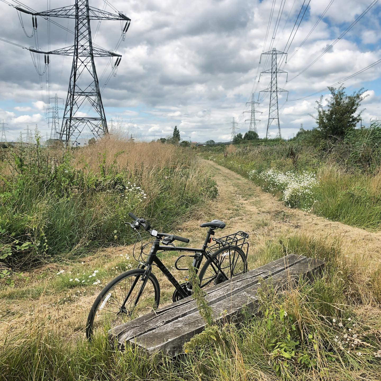 Exploring the marshes