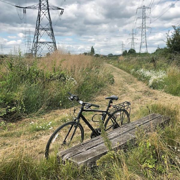 Exploring the marshes