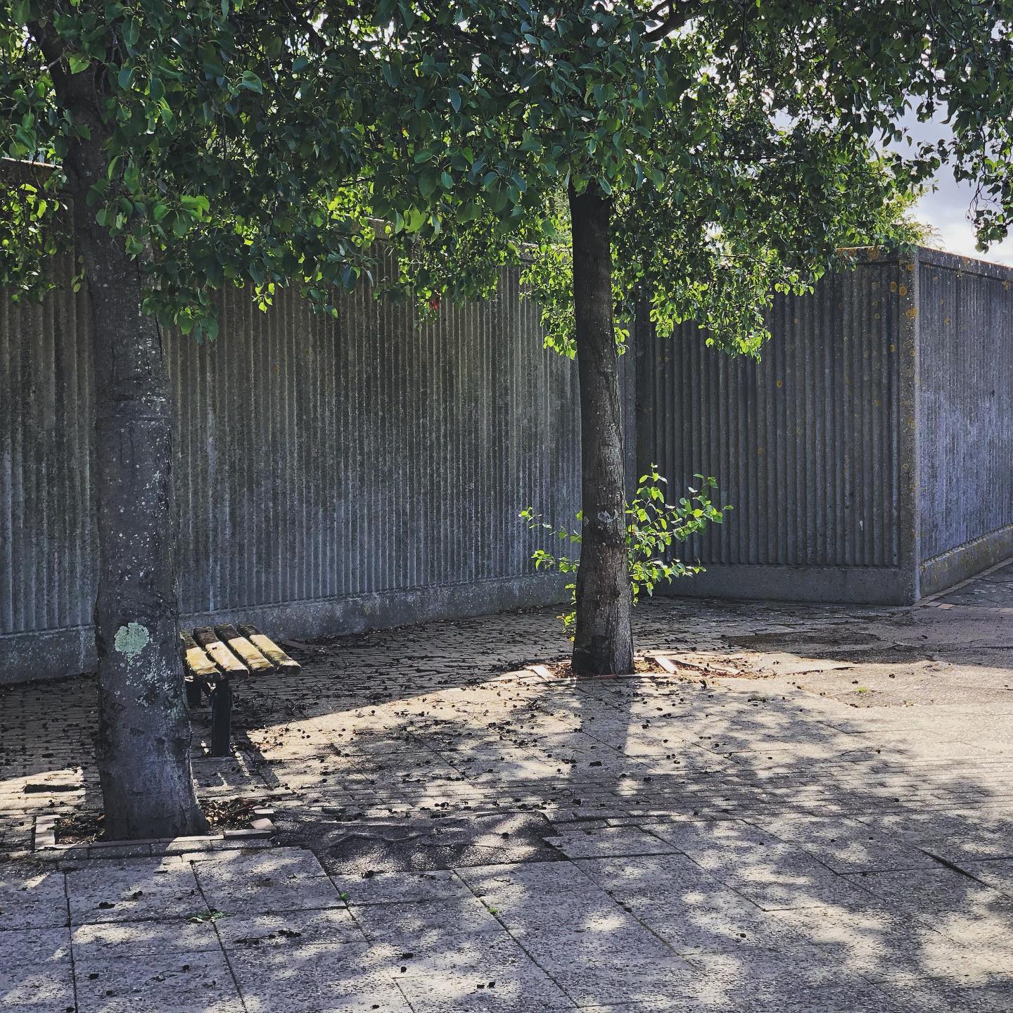 Concrete idyll on the Thames