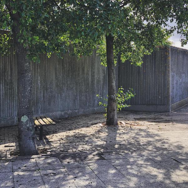 Concrete idyll on the Thames