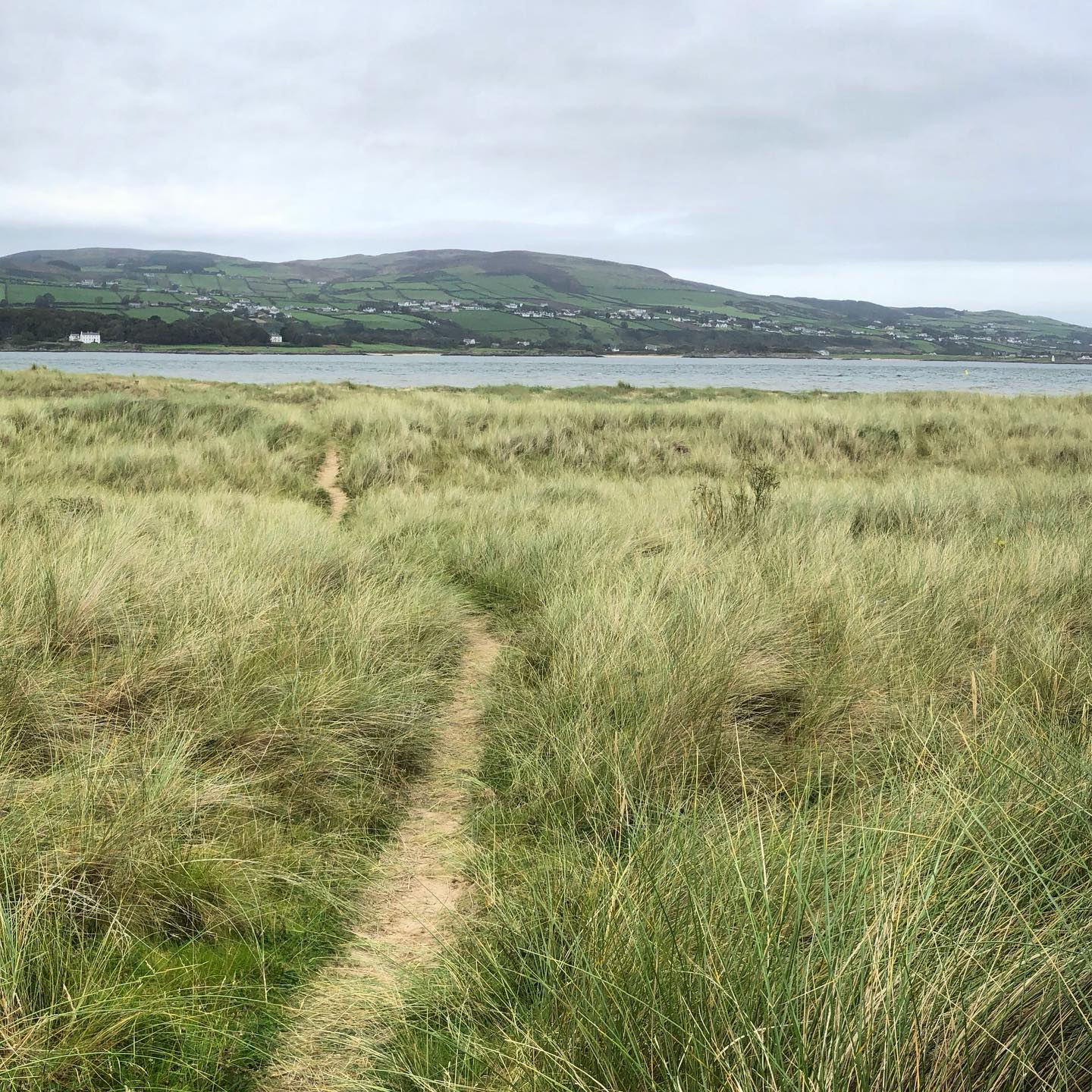 Dunes at Magilligan Point