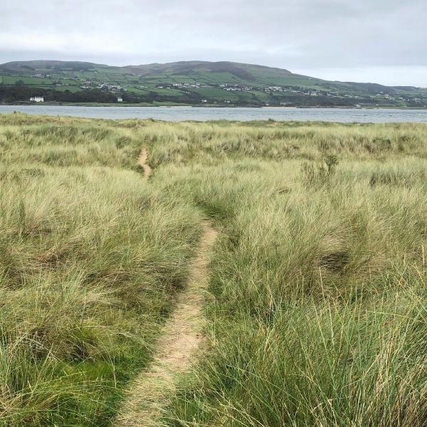 Dunes at Magilligan Point