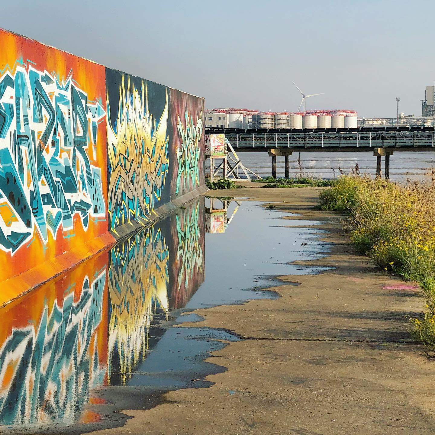 A splash of colour at Barking Riverside