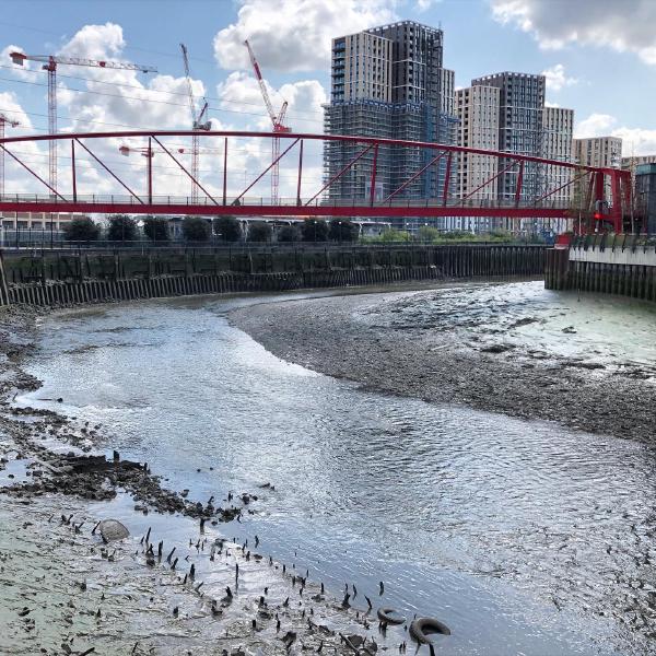 Regeneration and river remnants