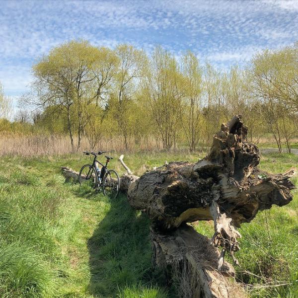 Resting by The Ridgeway