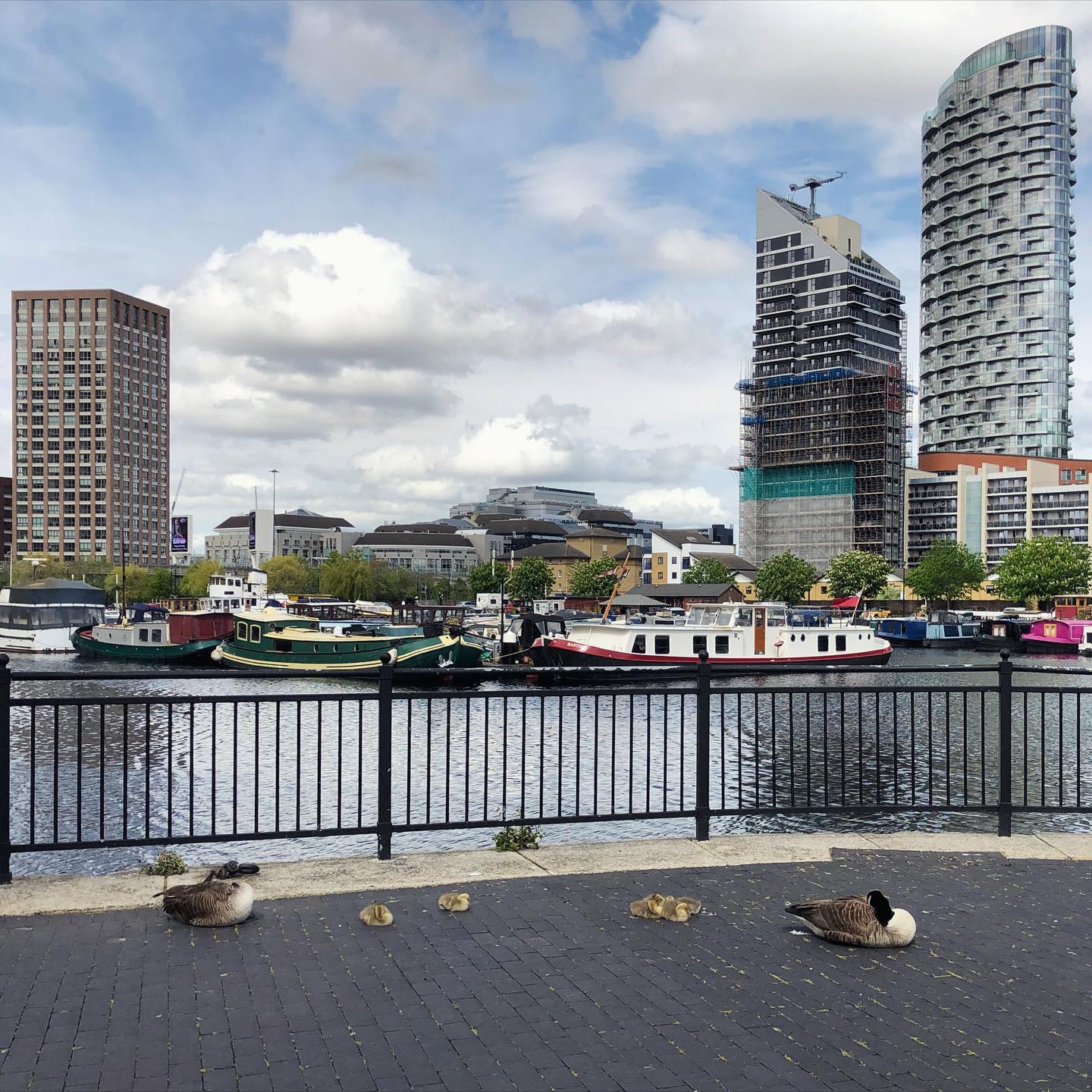 Resting at Poplar Dock