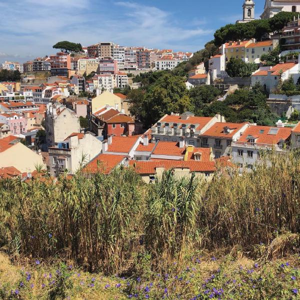 Alfama views