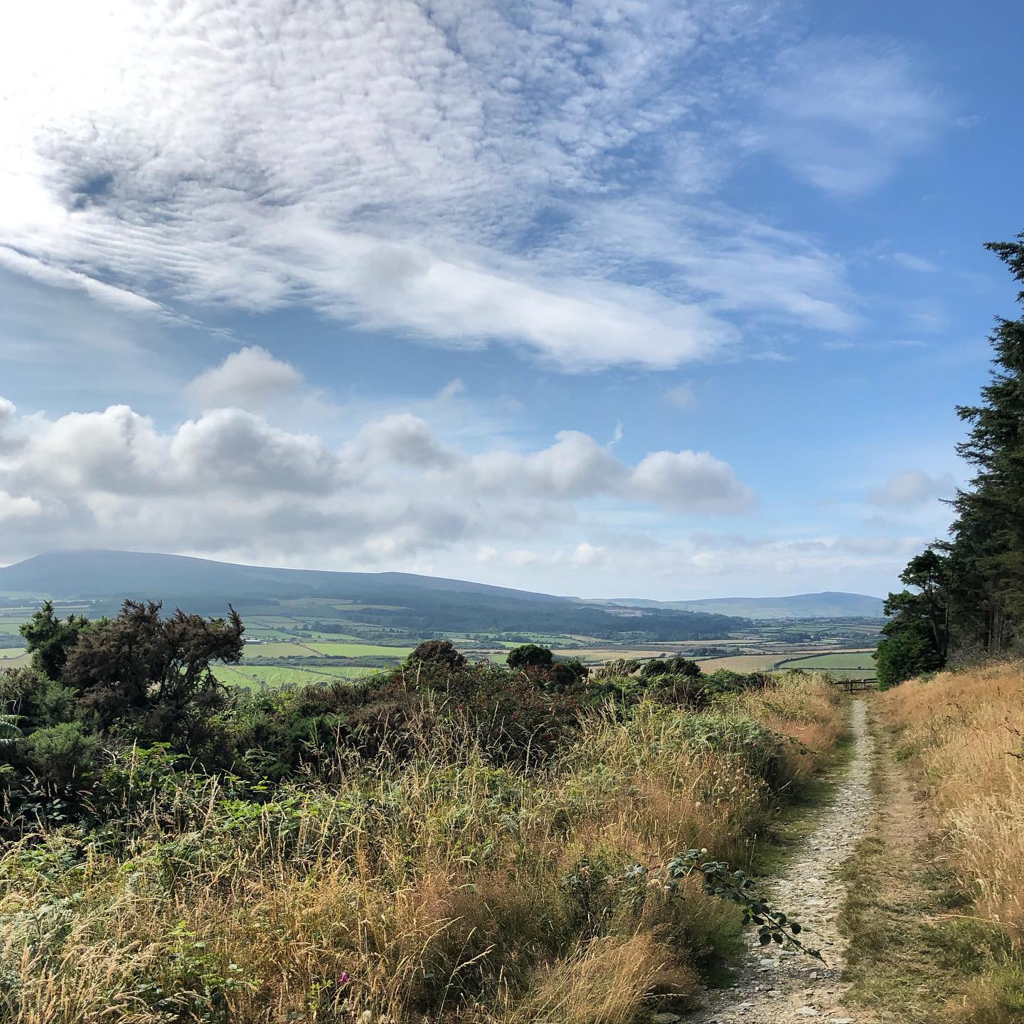 View from Chibbanagh