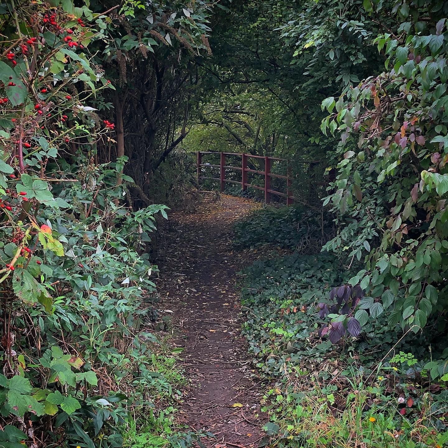 Beckton Creekside path