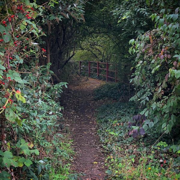 Beckton Creekside path