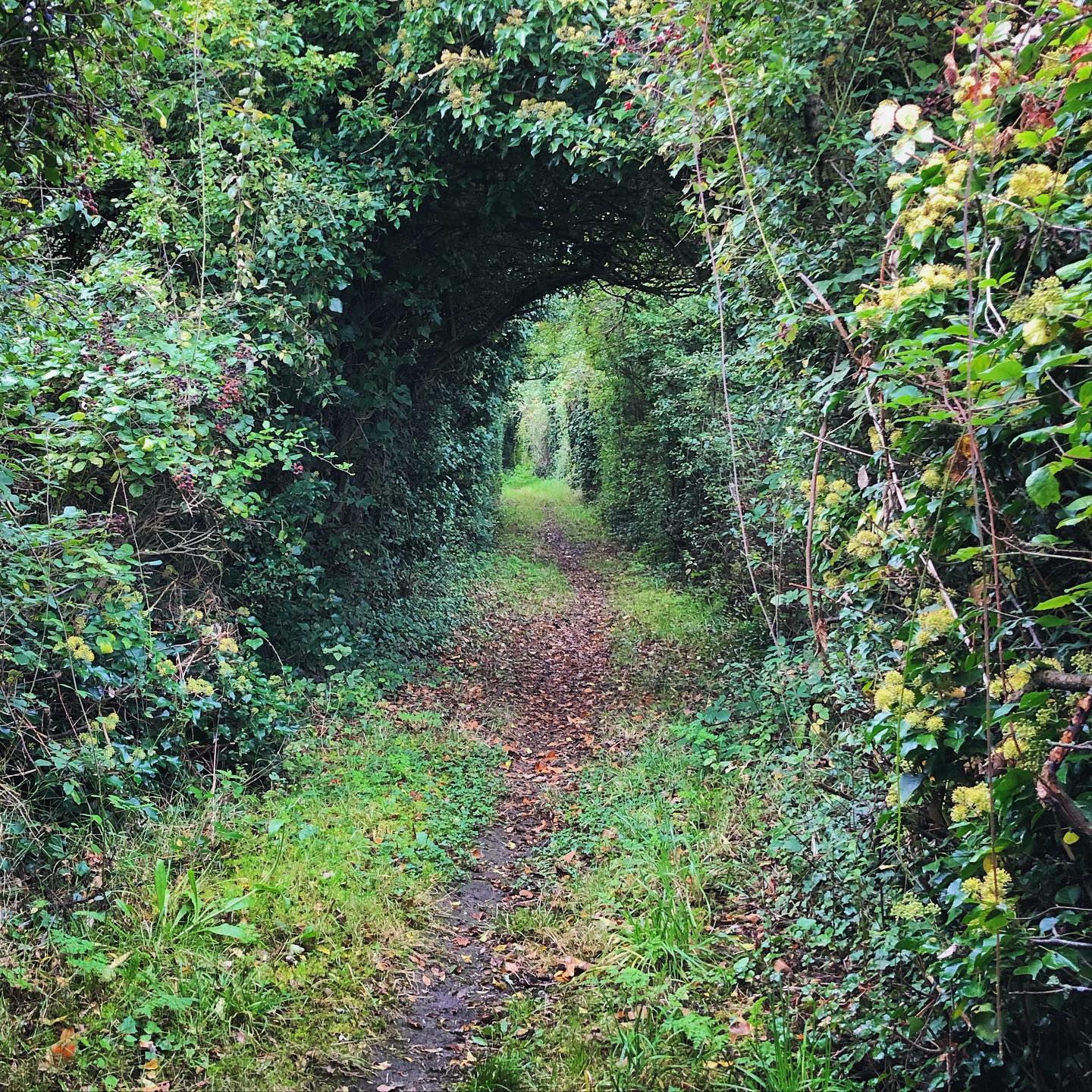 Tilbury footpath