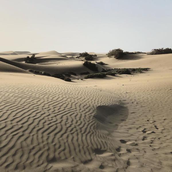 Shifting sands