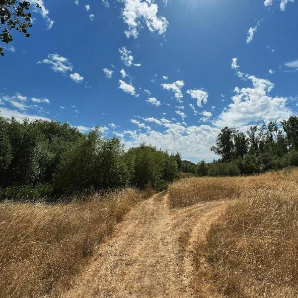 A fork in the path