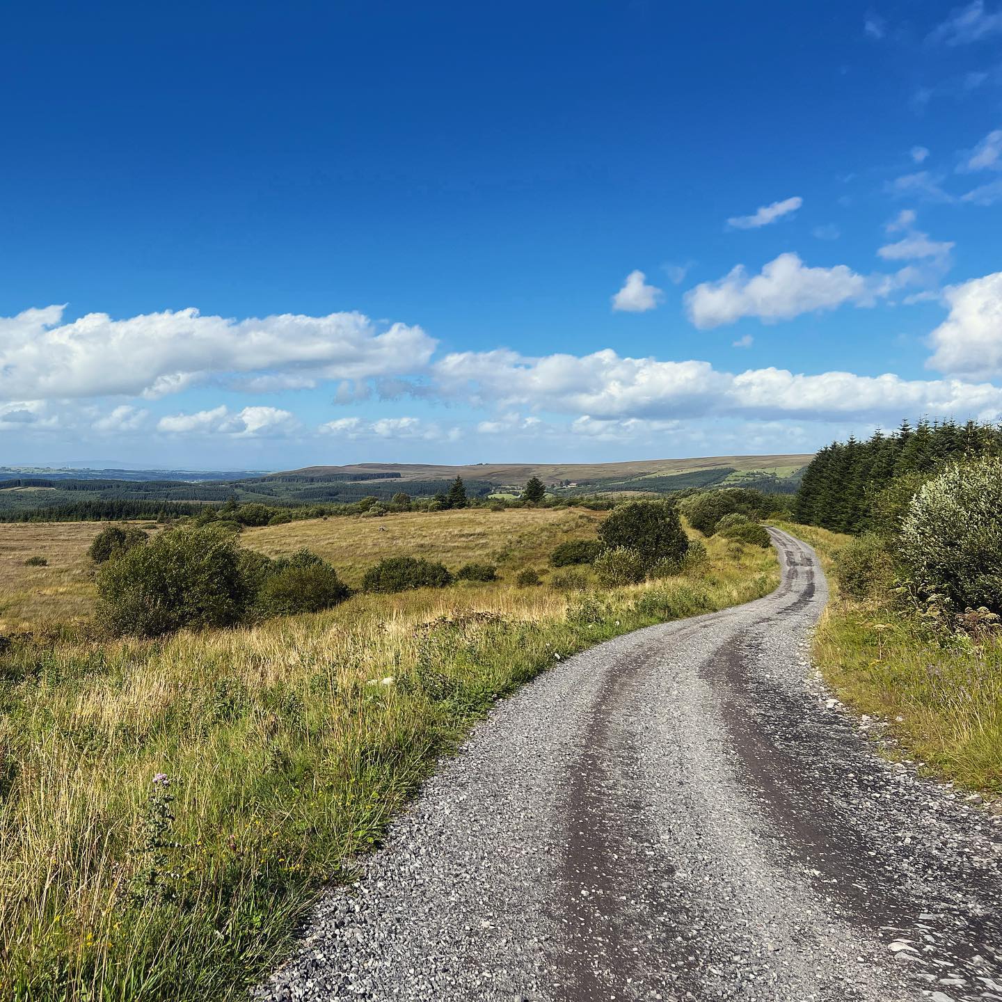 Jenkin Road Slieve Beagh